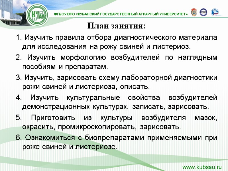 План занятия: 1. Изучить правила отбора диагностического материала для исследования на рожу свиней и